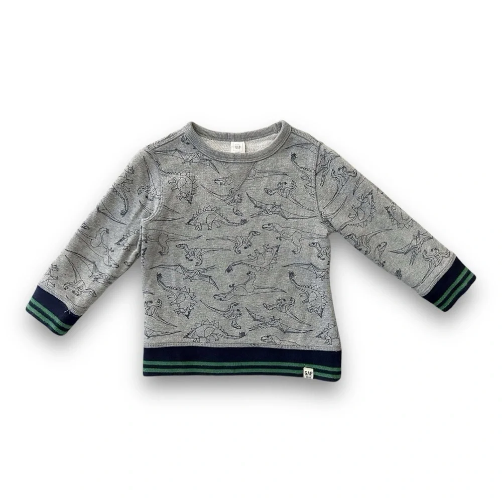GAP | Dinosaur Sweatshirt Bundle (3T) 🦖